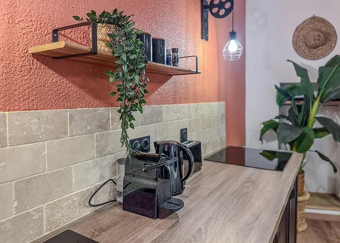 Le Terracotta - Centre アパート