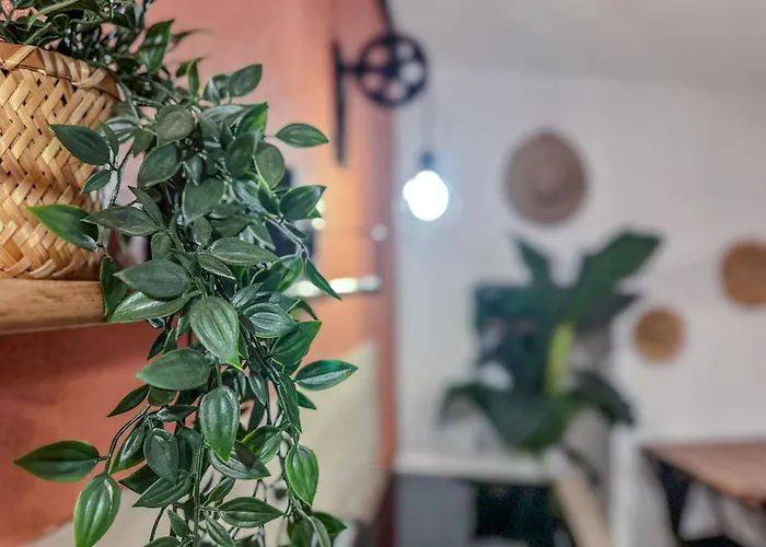 Le Terracotta - Centre Daire Grenoble